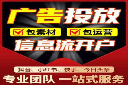 SEM代理助力品牌：案例解析与优化策略